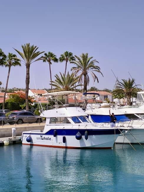 Sunset Dolphin Watching Tour on Hybrid Boat in Small Group - Introduction: A Gentle Sunset Adventure You’ll Remember