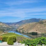 Sunset Douro melhor experiência vinho e comida Portuguesa - A Closer Look at the Douro Sunset Experience