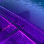 Sunset LED Clear Kayak Rentals for Glacier Park - Why This Tour Really Shines