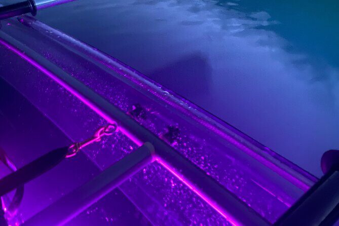 Sunset LED Clear Kayak Rentals for Glacier Park - Why This Tour Really Shines