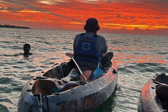 Sunset toast and bioluminescence in clear kayak - Details That Matter: Logistics, Duration, and Value