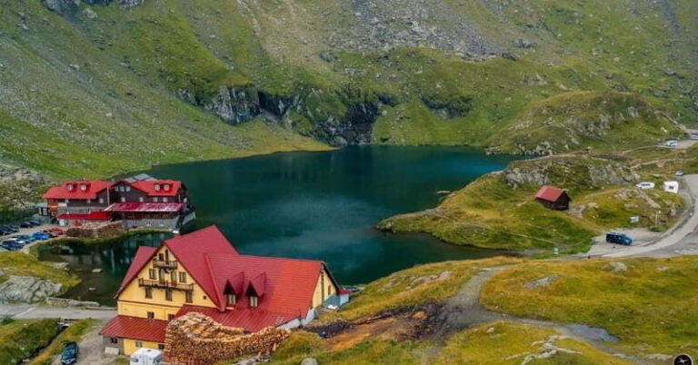 SUPER TOUR: Top Gear Road with Wild Bears Sightseeing - Practical Details and What’s Included