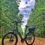 Surbourg: Electric bike rental by the day - Why This Tour Offers Good Value