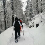 Susa Valley at dawn: snowshoeing in nature and silence - What Makes This Tour Stand Out?