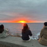 Svolvær: Lofoten Islands Full-Day Guided Tour - What to Expect: Practical Details