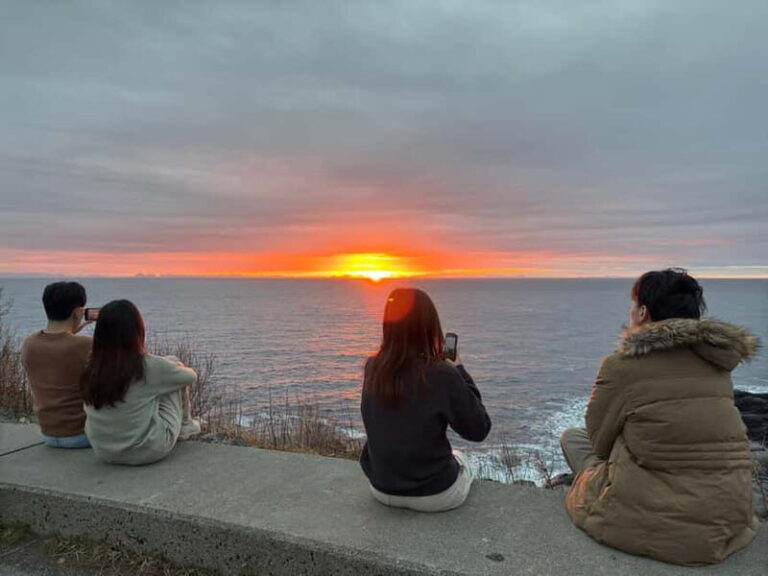 Svolvær: Lofoten Islands Full-Day Guided Tour - What to Expect: Practical Details