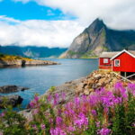 Svolvaer: South Lofoten Top Highlights Photo Tour - What to Expect During the Tour