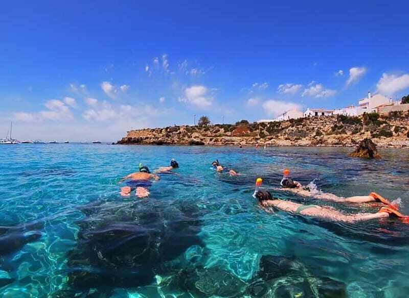 Tabarca Island: Guided Snorkel Excursion - The Value and Who Should Consider This Tour