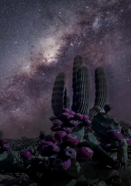 Tabernas Desert: Night of Stars with Telescopes - The Setting: Why the Tabernas Desert?
