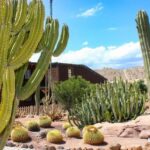 Tabernas: MiniHollywood Oasys Entry Ticket & Optional Buffet - Live Shows and Performances