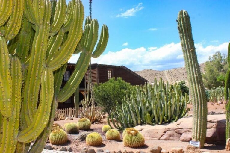 Tabernas: MiniHollywood Oasys Entry Ticket & Optional Buffet - Live Shows and Performances