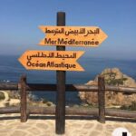 Tangier: Day Trip from Tarifa To Tanger { camel ride - Transportation & Logistics