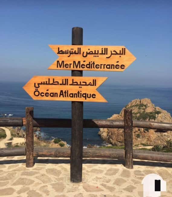 Tangier: Day Trip from Tarifa To Tanger { camel ride - Transportation & Logistics