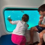 Taormina: Sea Tour in the Nemosub with Dolphin Sightings - What Makes This Tour Special?