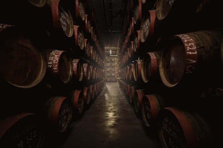 Tastes of Gran Canaria A Day of Flavours and Culture - A Detailed Breakdown of the Itinerary