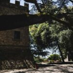 Tastes of History at Castello il Palagio - Exploring the Castello il Palagio Experience