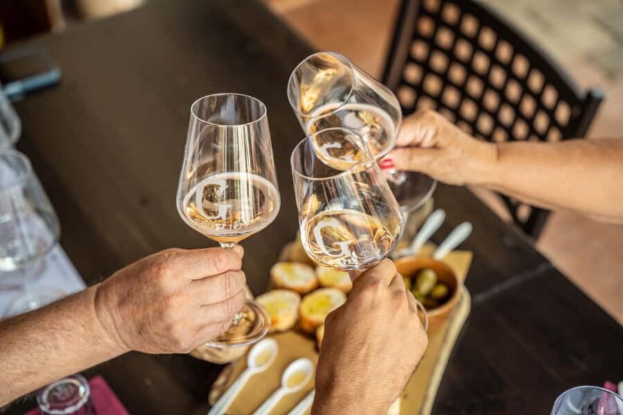 Tasting in the cellar, in Caprino Veronese, Pesina. - Why this tour stands out