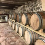 tasting wines in the vineyards with hotel pickup hotel - The Itinerary in Detail
