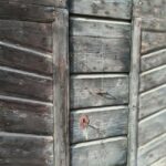 Tastings in the villa - THE SECRETS OF THE TORRIOLO ESTATE - Practical Details: What You Need to Know