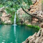 Tavira: 4x4 Jeep Adventure, Salt Pink Pans & Hidden Nature - What’s Included and What to Expect