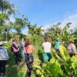 Tenerife: A tour in a food forest and a vanilla cultivation - Who Is This Tour Best For?