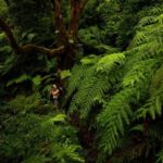 Tenerife: Anaga and La Laguna VIP Tour - FAQs