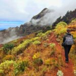 Tenerife: Anaga Hiking Tour & Enchanted Forest with Pickup - Exploring the Itinerary in Detail