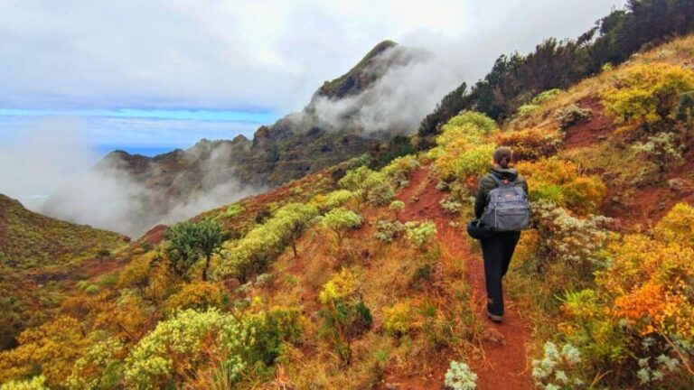 Tenerife: Anaga Hiking Tour & Enchanted Forest with Pickup - Exploring the Itinerary in Detail
