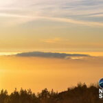 Tenerife: Gourmet Sunset Dinner and Stargazing Experience - Who Would Love This Tour?