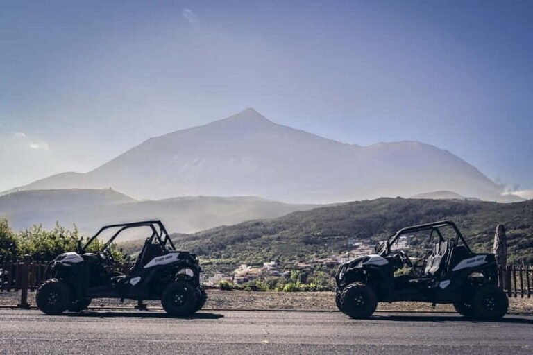 Tenerife: Guided Buggy Discovery Tour around Mount Teide - Who Is This Tour Best For?