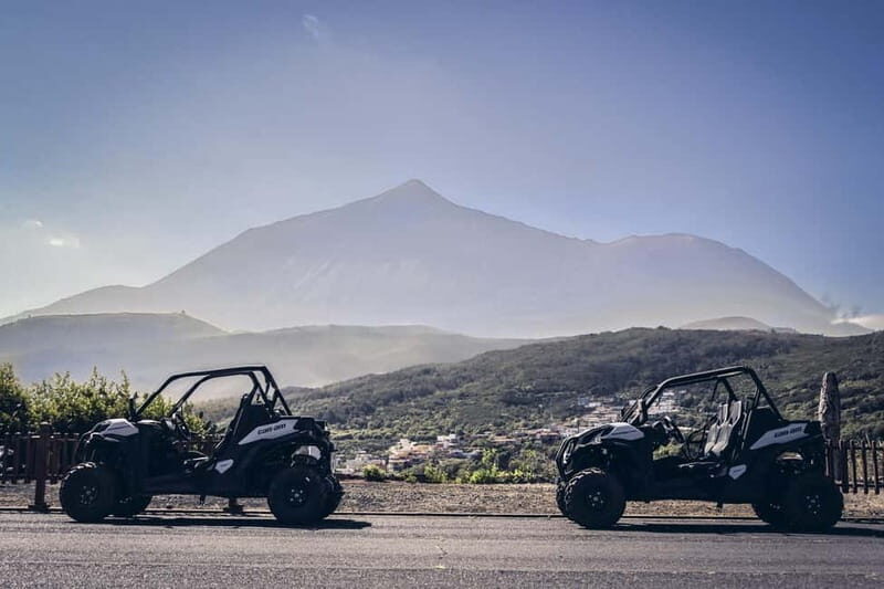 Tenerife: Guided Buggy Discovery Tour around Mount Teide - Who Is This Tour Best For?