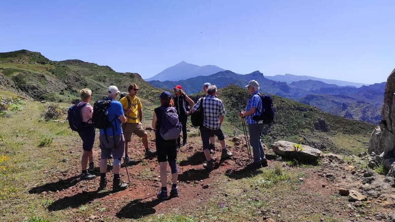 Tenerife Guided Hike: Teno Highlands & Lunar Landscape - Who Should Consider This Tour?