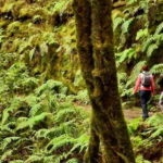 Tenerife: Guided tour guide in the Anaga Rural Park - What to Expect During the Tour