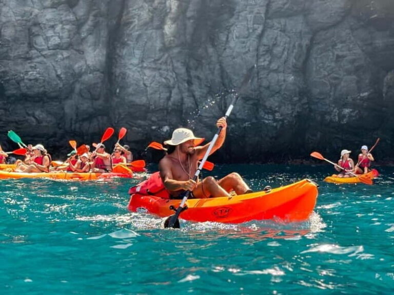 Tenerife: Kayaking and Snorkeling Tour for Groups - What to Expect on the Kayaking and Snorkeling Tour