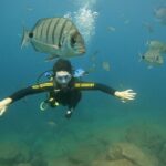 Tenerife: PADI Beginner Scuba Dive in the Turtle Area - Why We Think This Experience Is Worth Considering