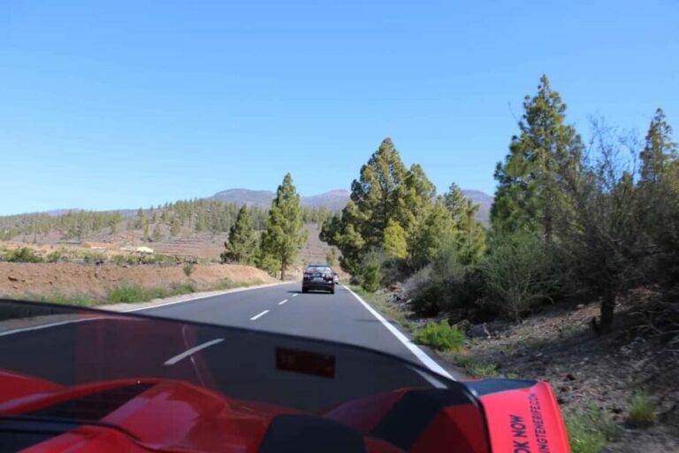 Tenerife: Pino Gordo Self-Drive Slingshot Tour - What Makes This Tour Special?