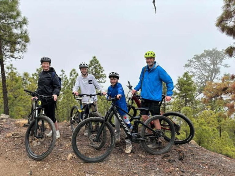 Tenerife: premium e-bike ride at Vilaflor- Lunar Landscape - Who Will Love This Tour?