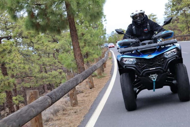 Tenerife: Quad Day Trip Teide National Park - What Sets This Tour Apart?