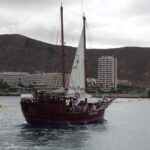 Tenerife: Respectful Whale Watching Pirate Cruise + Swim - Safety & Responsible Conduct