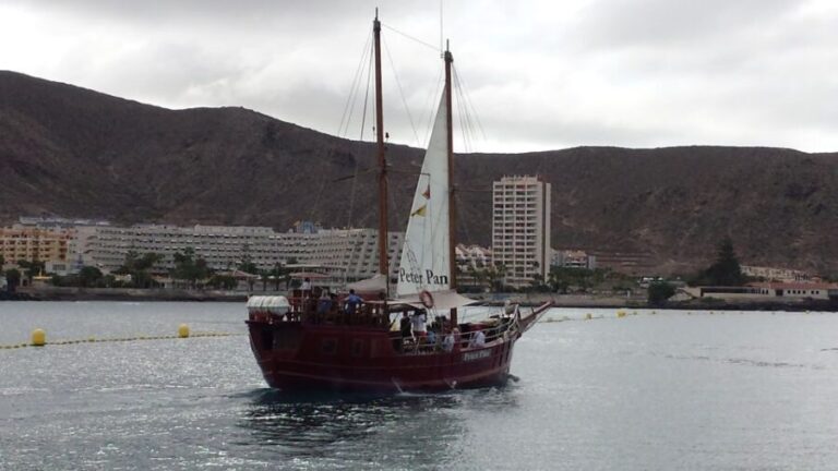 Tenerife: Respectful Whale Watching Pirate Cruise + Swim - Safety & Responsible Conduct
