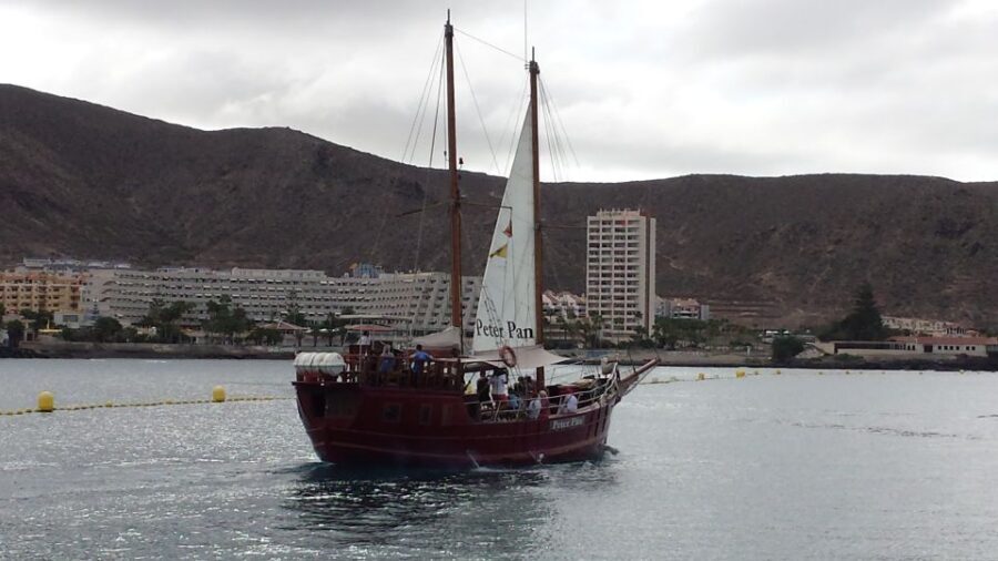 Tenerife: Respectful Whale Watching Pirate Cruise + Swim - Safety & Responsible Conduct