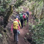 Tenerife: Senderismo Anaga, Bosque Mágico, Reserva Biosfera - What to Expect During the Tour