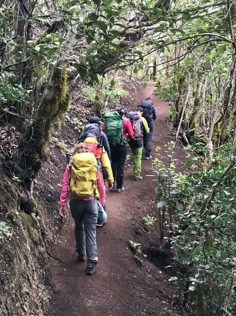 Tenerife: Senderismo Anaga, Bosque Mágico, Reserva Biosfera - What to Expect During the Tour