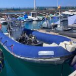 Tenerife: Snorkeling to look for Turtles and Rays - Practical Details and Value