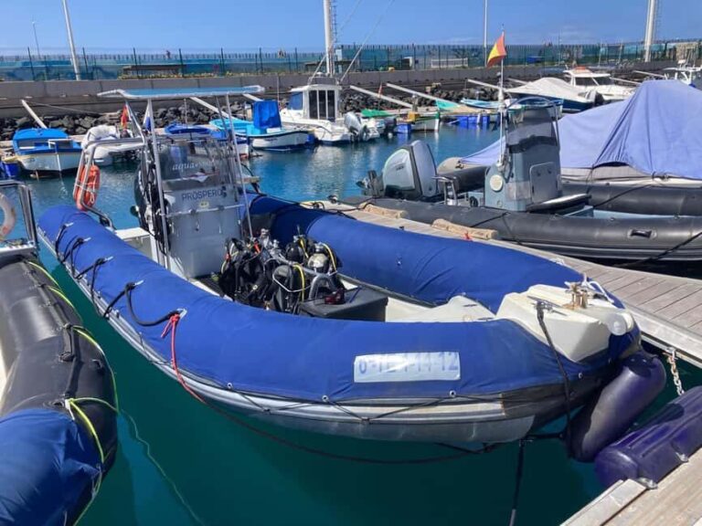 Tenerife: Snorkeling to look for Turtles and Rays - Practical Details and Value