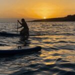 Tenerife: Sunset Stand-Up Paddleboarding Tour - What to Expect from the Tour