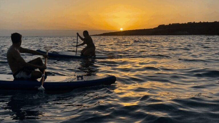 Tenerife: Sunset Stand-Up Paddleboarding Tour - What to Expect from the Tour