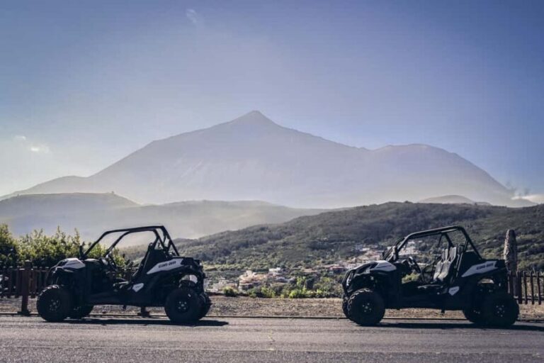 Tenerife: Teide National Park Buggy Tour with Hotel Transfer - Practical Tips for Your Buggy Adventure