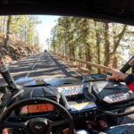 Tenerife: Teide National Park Guided Buggy Tour - The Driving Experience and Route Highlights