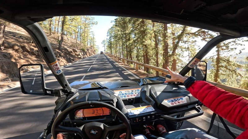 Tenerife: Teide National Park Guided Buggy Tour - The Driving Experience and Route Highlights